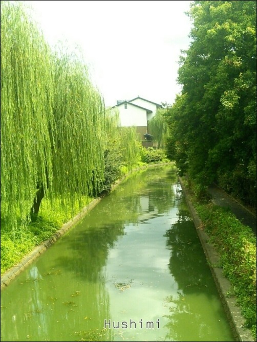 b0086909_00431583.jpg