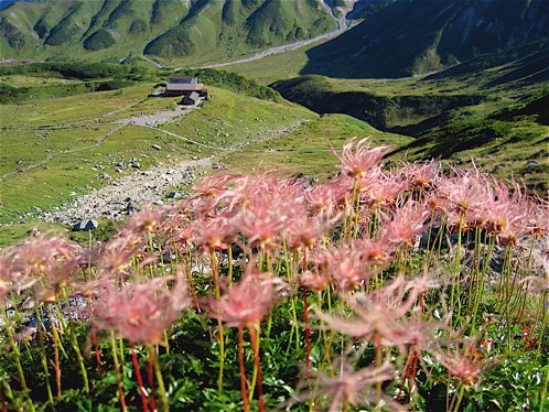 a0164011_11333912.jpg
