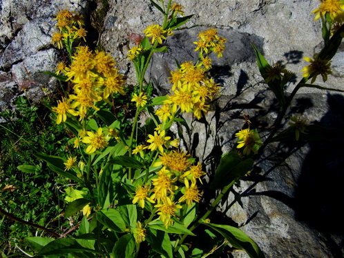 a0164011_11334812.jpg