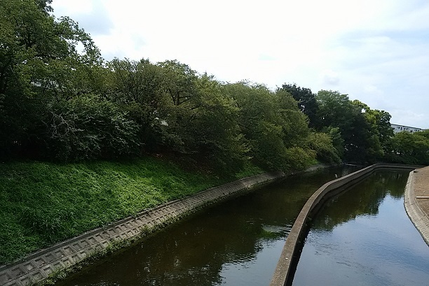 c0280322_16113668.jpg