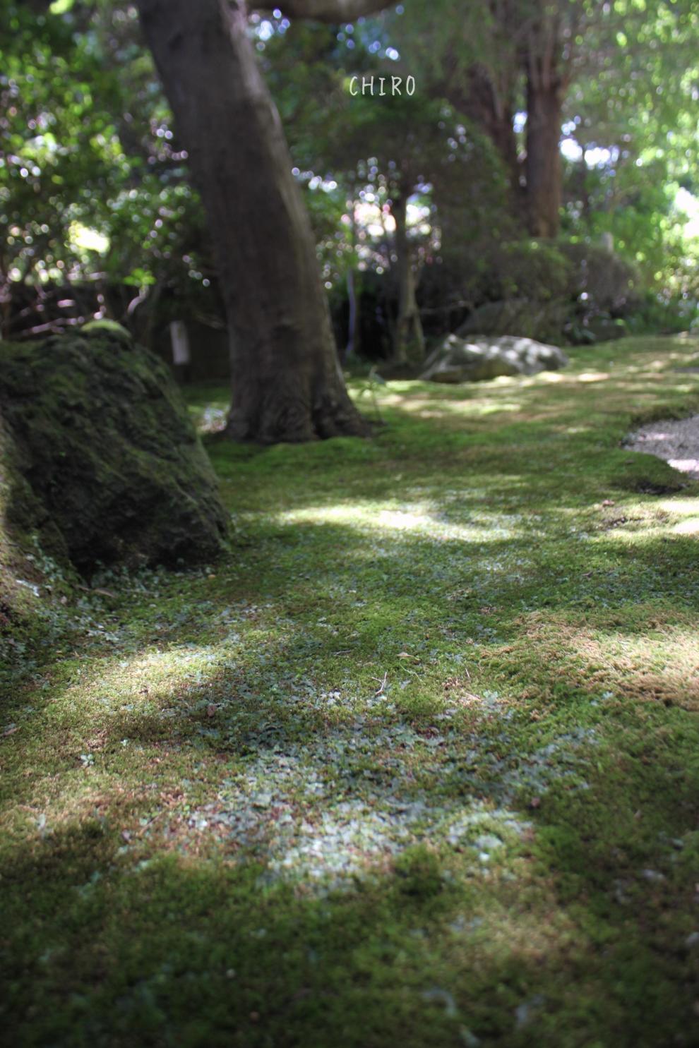 f0293522_22405888.jpg