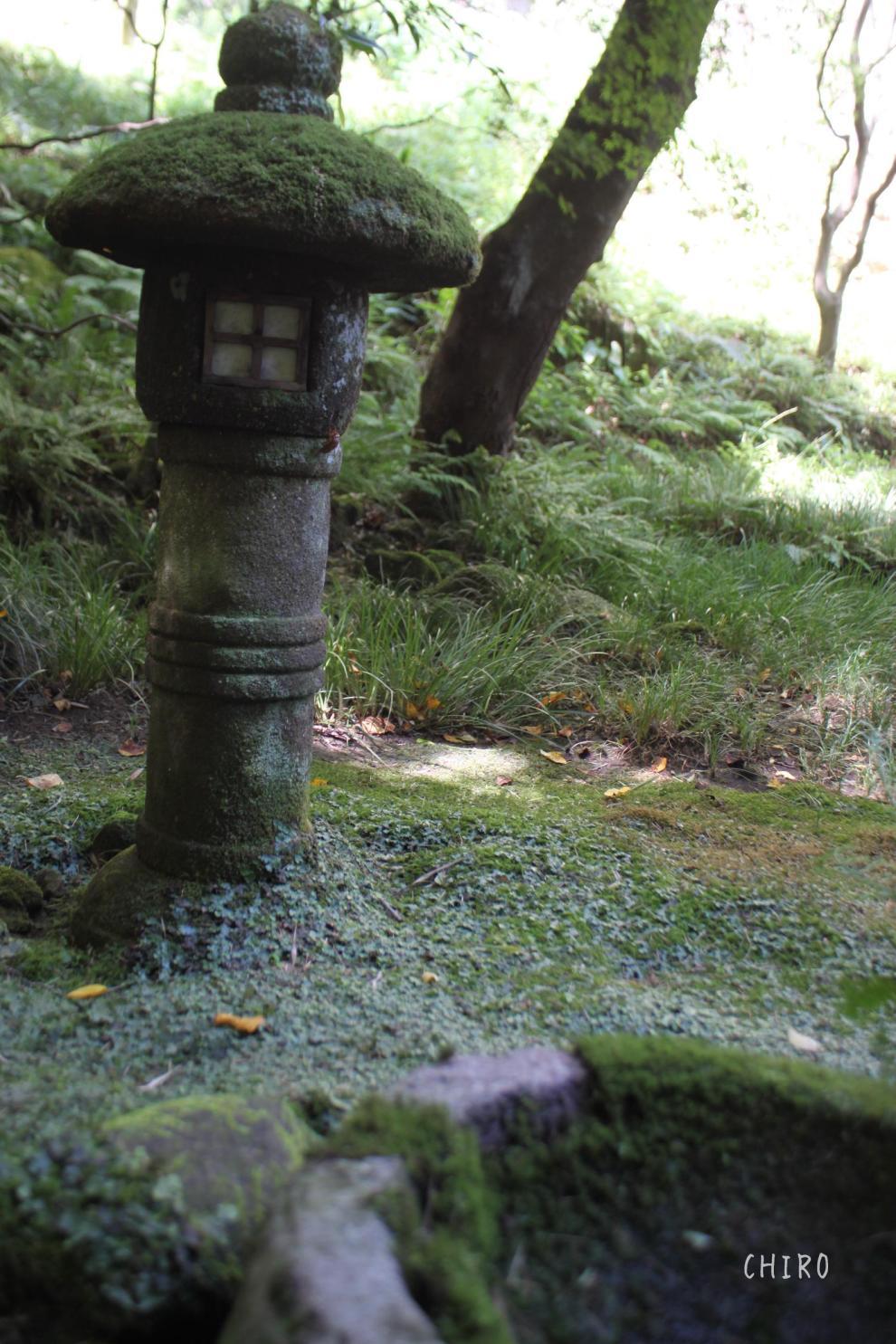 f0293522_22423161.jpg
