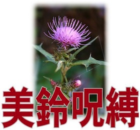 a0118823_1294030.jpg