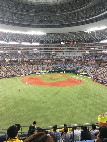 b0102728_10095049.jpg