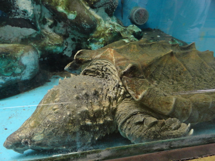 f0238932_14282011.jpg