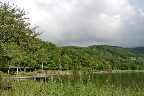 d0170835_15251735.jpg