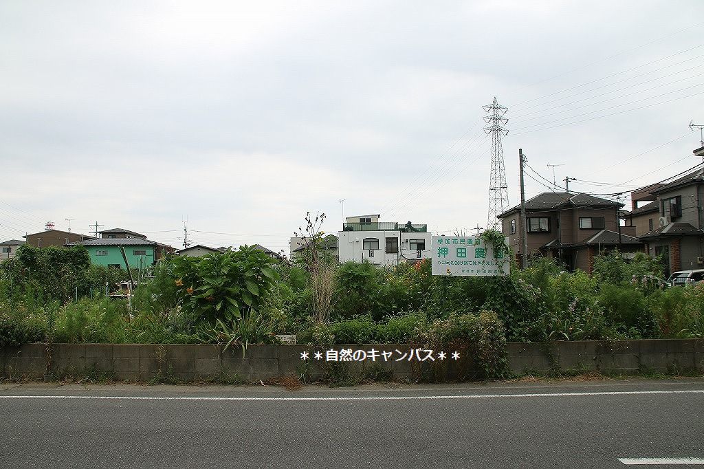 e0052135_16114687.jpg