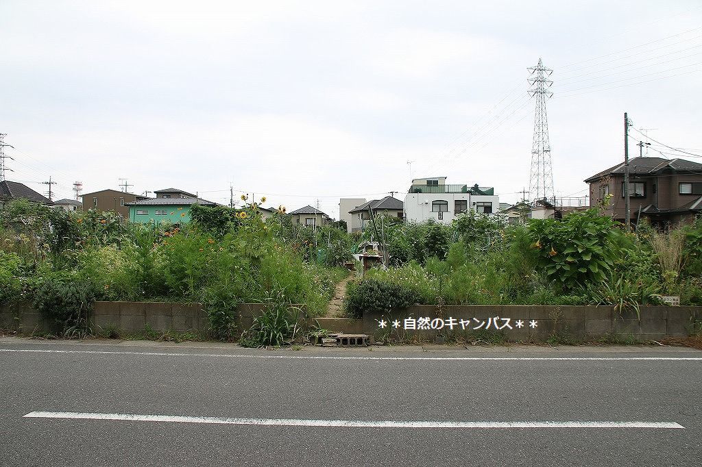 e0052135_16115018.jpg
