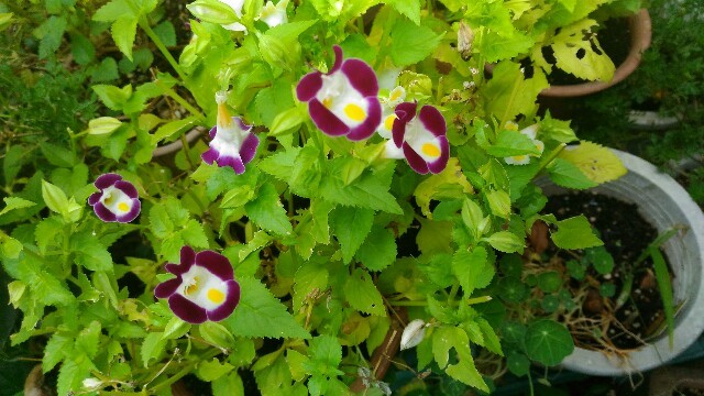 d0343540_17034330.jpg