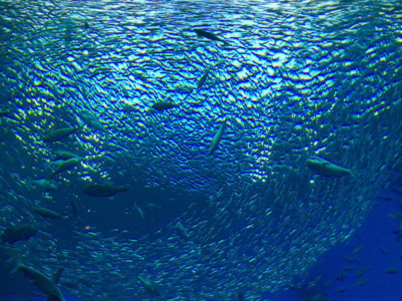 b0367250_00375484.jpg