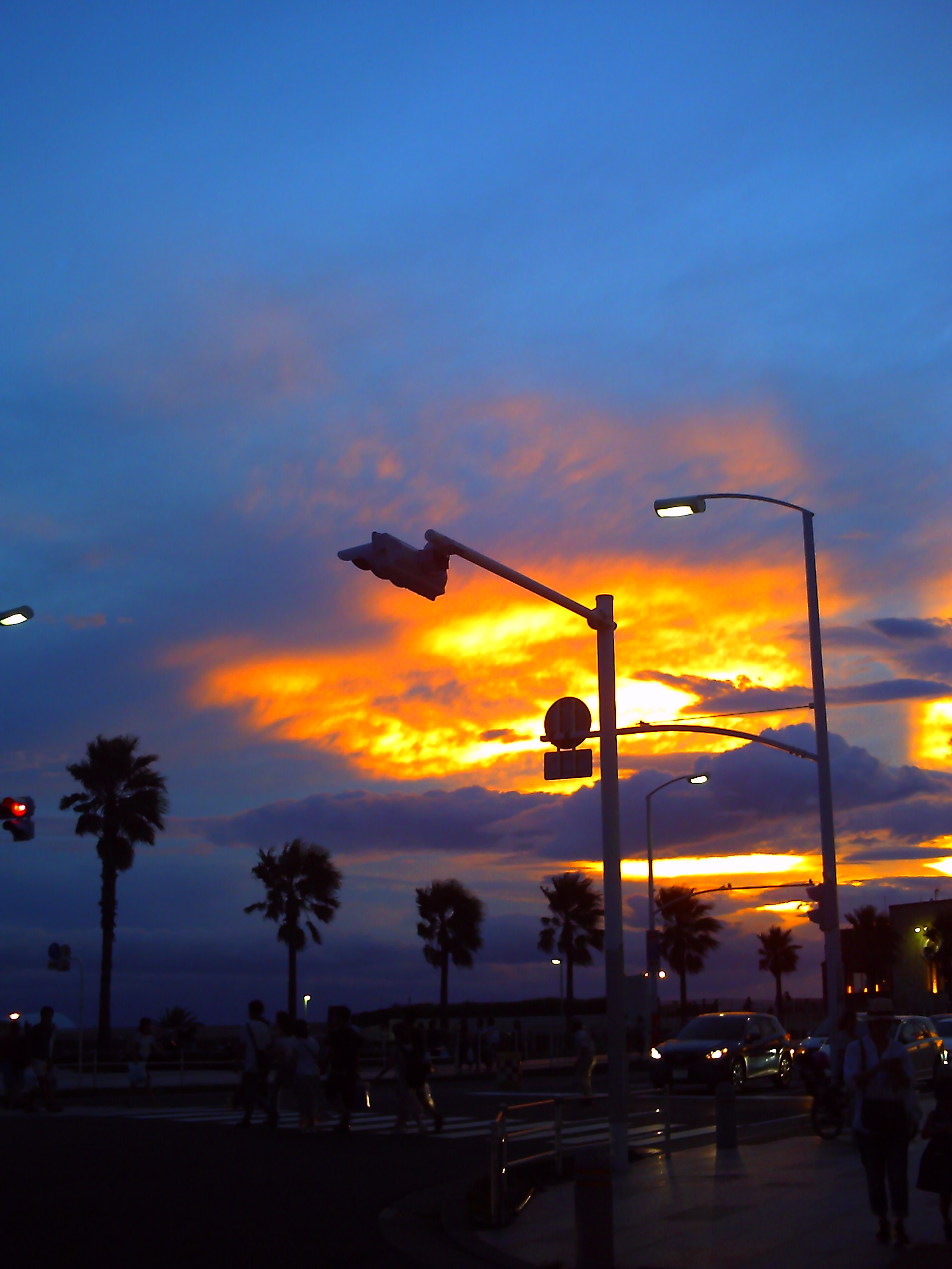 f0041850_1875787.jpg