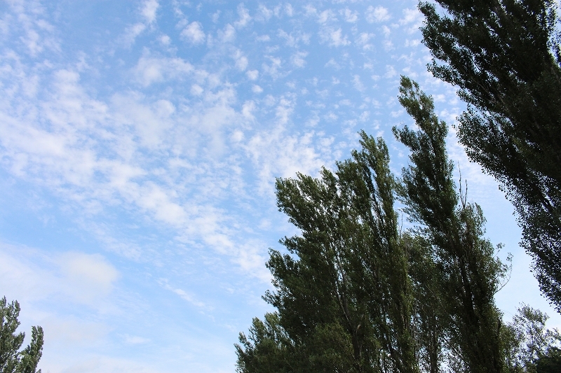 b0250154_06325878.jpg