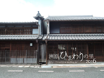 a0286855_629258.jpg