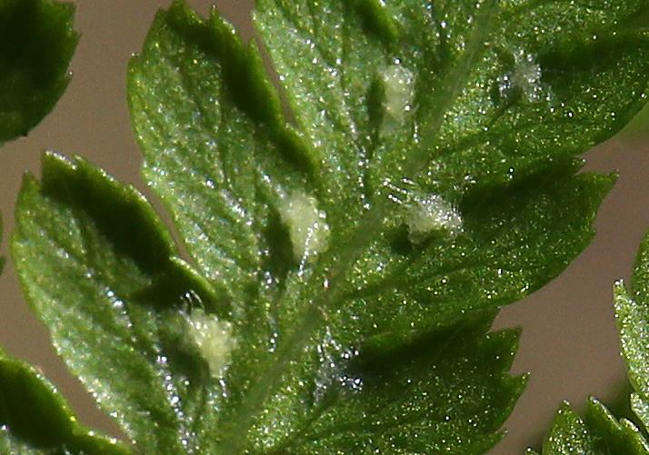 f0165160_10174663.jpg