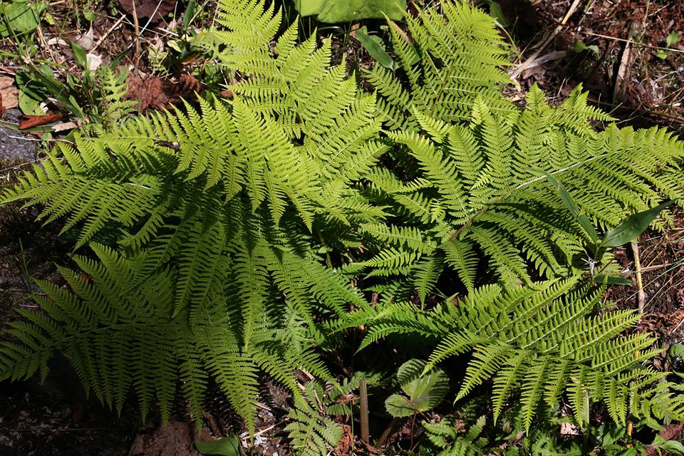 f0165160_1017893.jpg