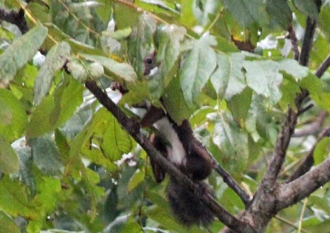 c0147569_18415160.jpg