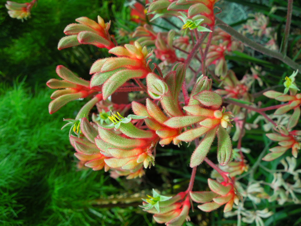 e0107171_0205387.jpg