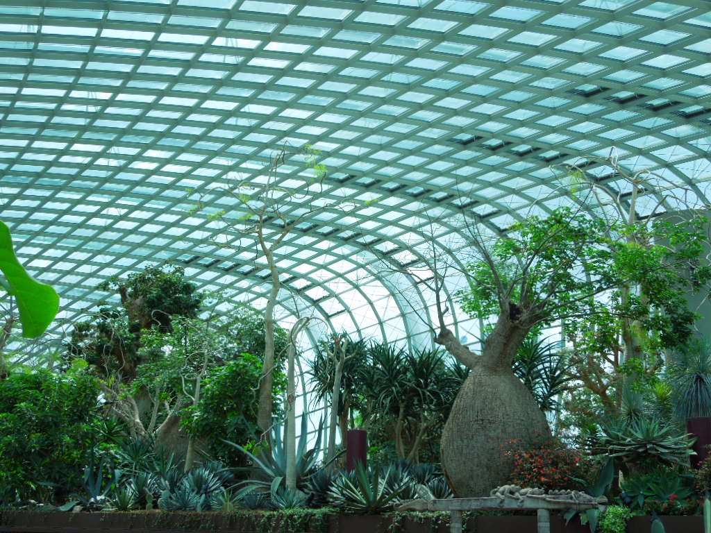 e0107171_09739.jpg
