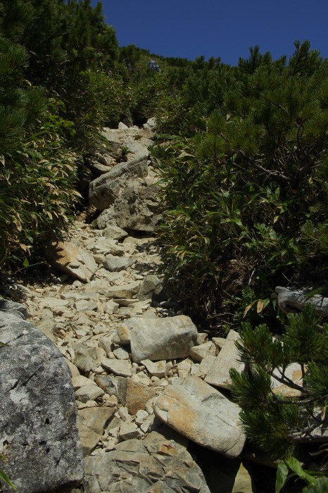 e0307372_17011722.jpg