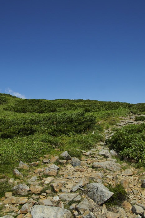 e0307372_19143422.jpg