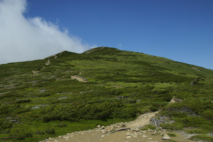 e0307372_21423399.jpg