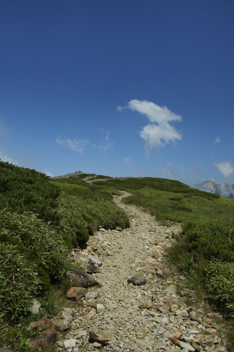 e0307372_21435110.jpg