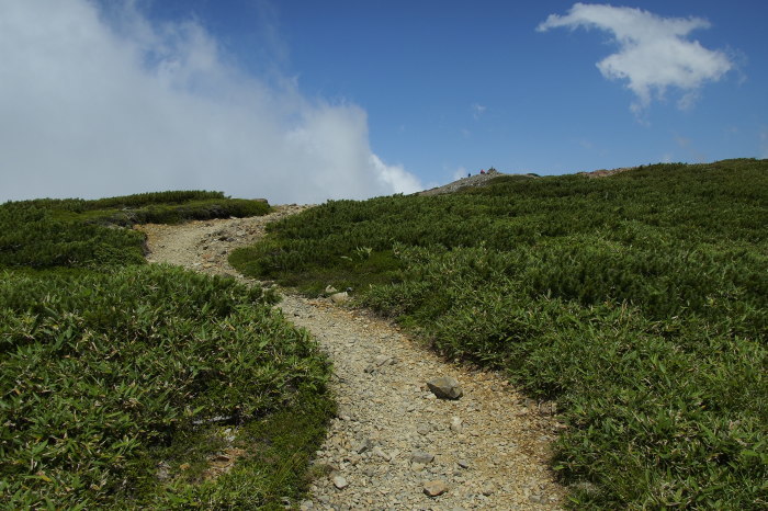 e0307372_21453302.jpg