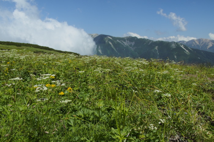 e0307372_22144036.jpg