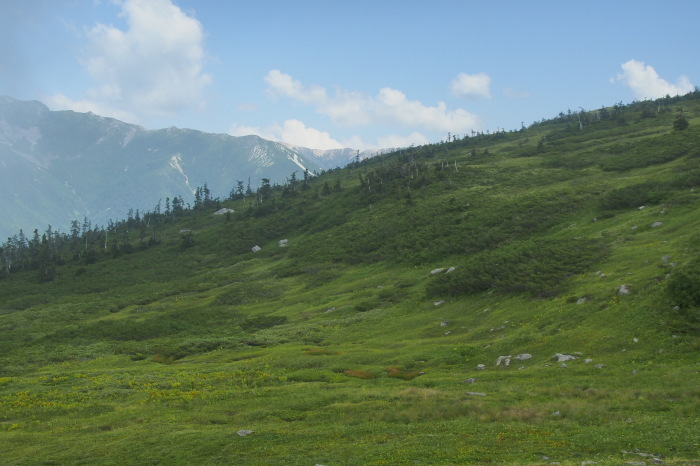 e0307372_22362824.jpg