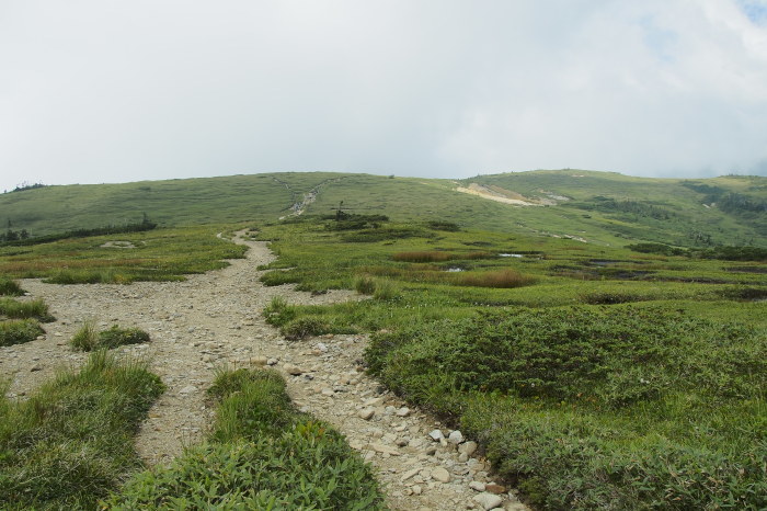 e0307372_22432153.jpg