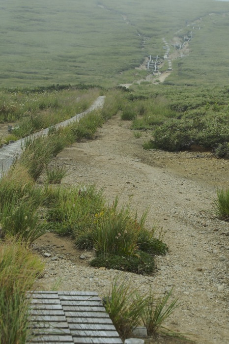 e0307372_22484368.jpg