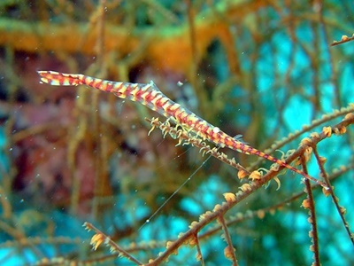 b0033573_23303105.jpg