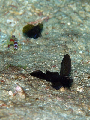 b0033573_23310256.jpg