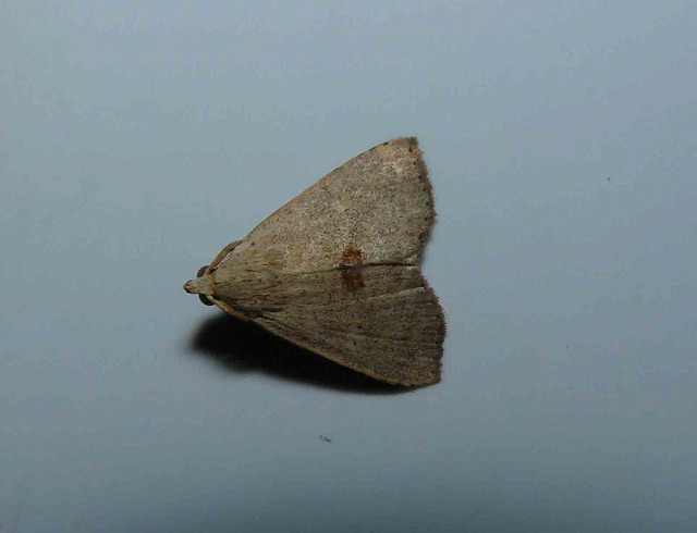 d0019074_15241034.jpg