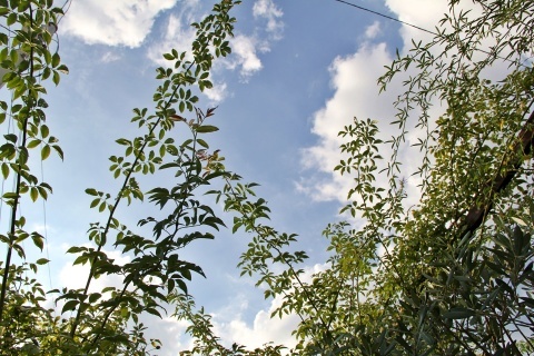 e0154682_22162862.jpg