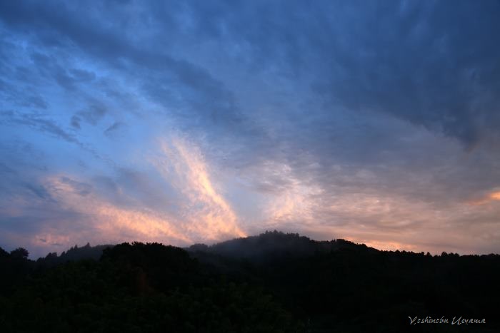 e0092186_1854350.jpg