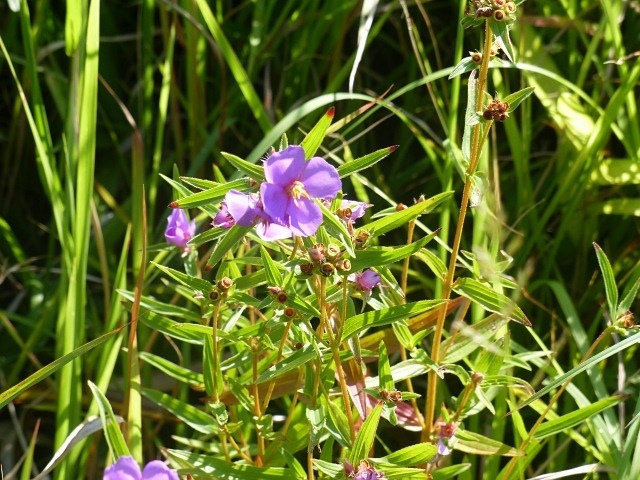 f0357487_20111207.jpg