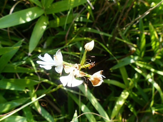 f0357487_20151054.jpg