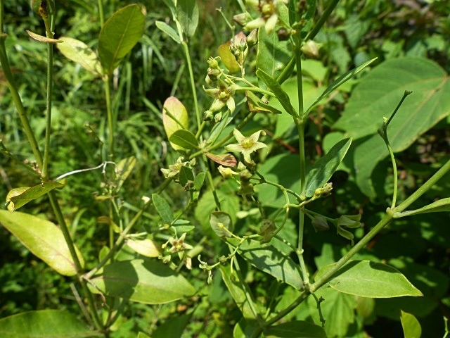 f0357487_20542467.jpg