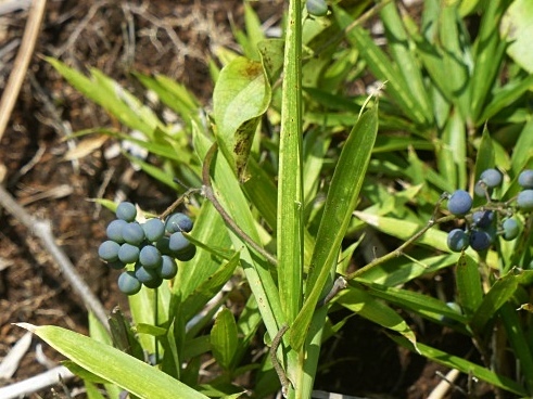 f0357487_20580251.jpg