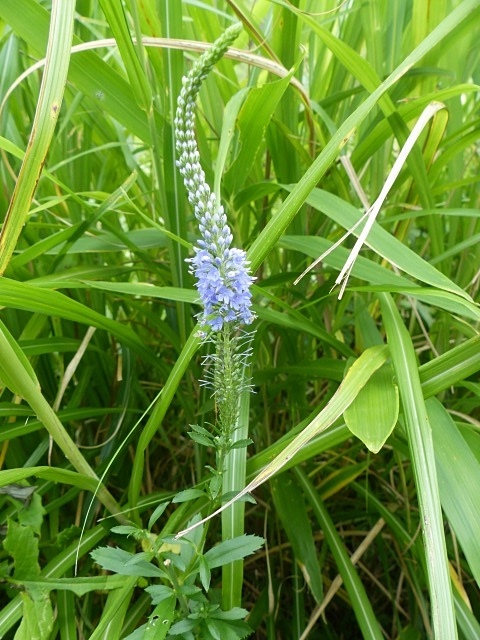 f0357487_21014718.jpg