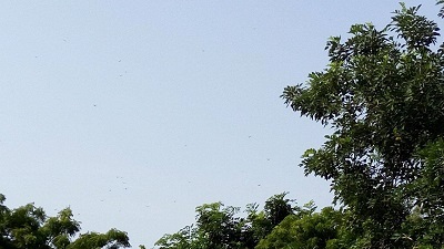 c0338191_00412107.jpg