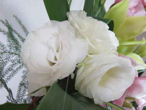 f0204295_17321412.jpg