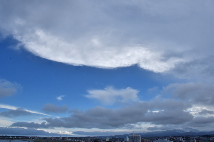 c0049299_22351616.jpg