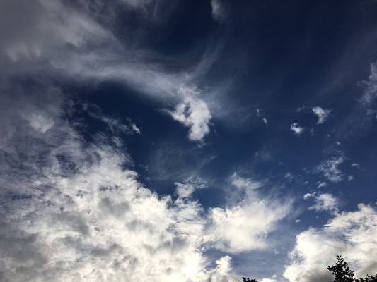b0160300_20594242.jpg