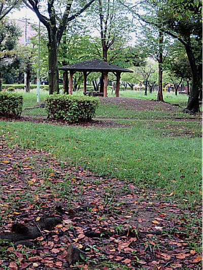 d0046702_21475387.jpg