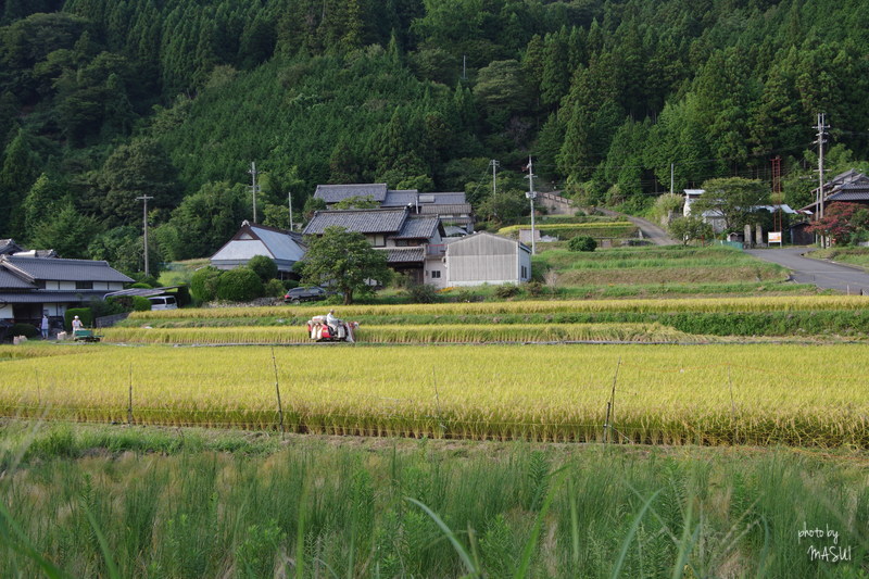 d0342307_23264545.jpg