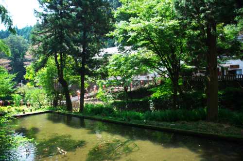 a0263109_10070788.jpg