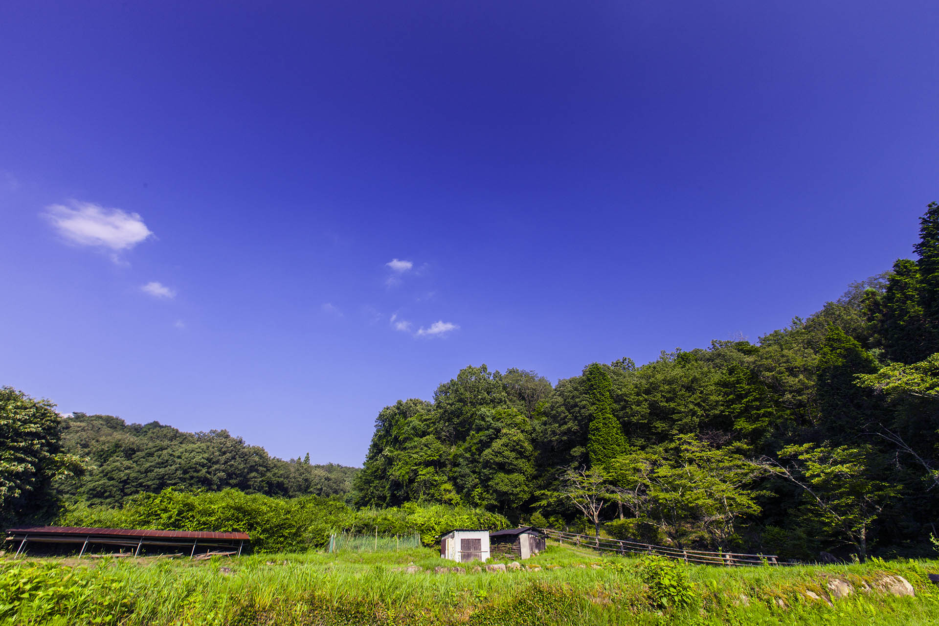 d0073620_2245858.jpg
