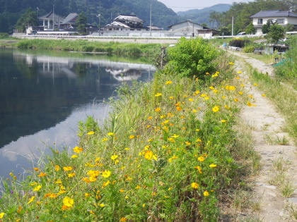b0312424_22502719.jpg